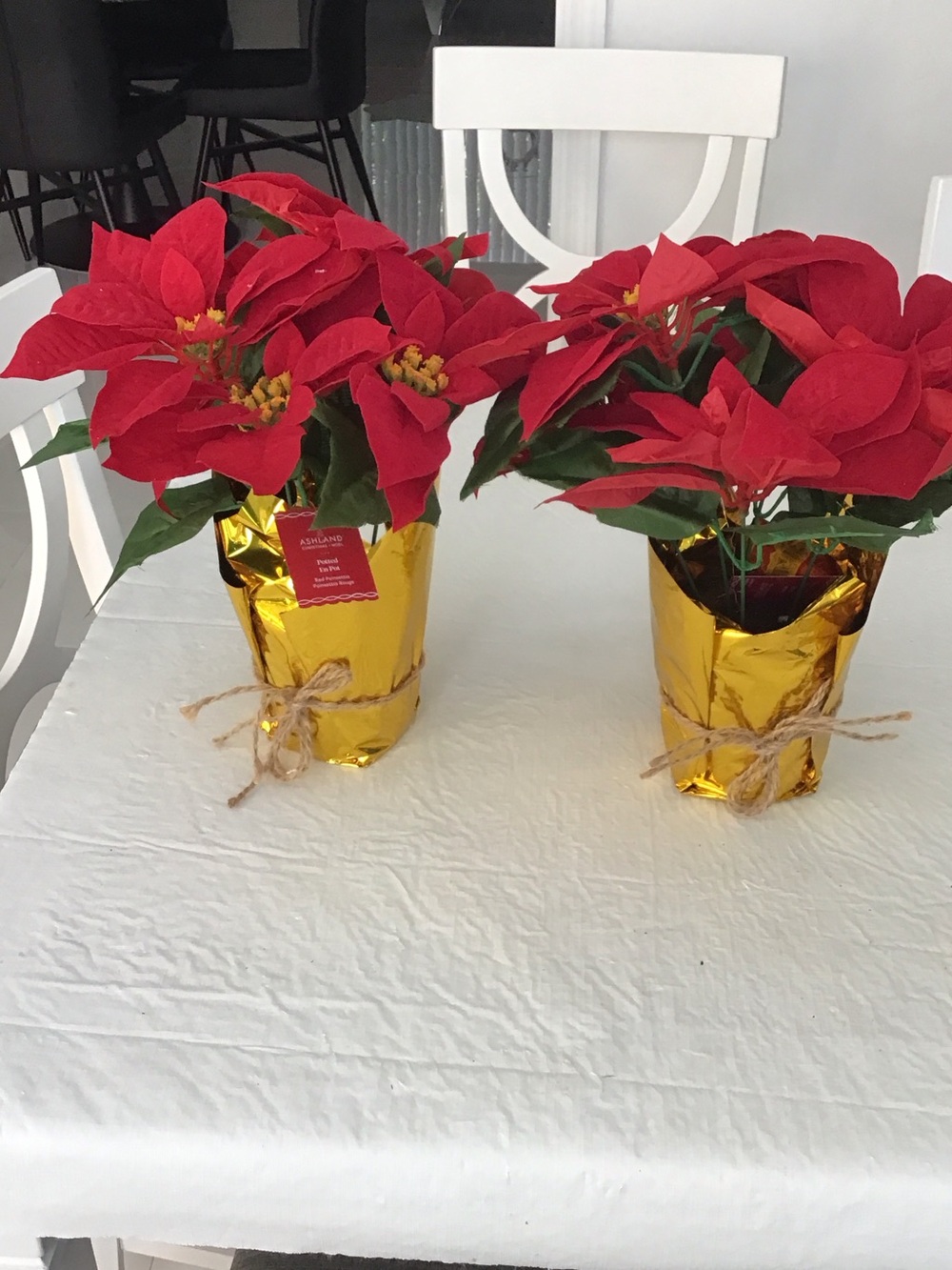 Ashland Red Poinsettia Pair in Gold Foil Pots. ##